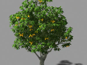 giardino lilla-albero di mango 01 Modello 3D