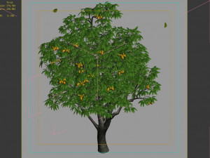 lilac garden-mango tree 01 3D Model