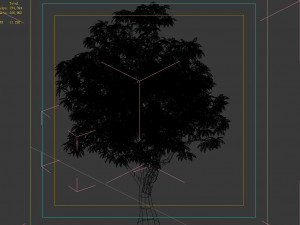lilac garden-mango tree 01 3D Model