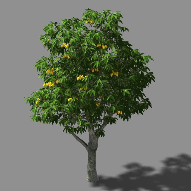 lilac garden-mango tree 02 Model 3D .c4d .max .obj .3ds .fbx .stl .blend 