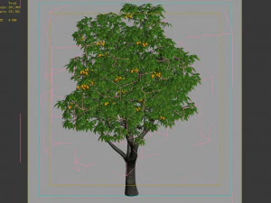 lilac garden-mango tree 02 3D Model