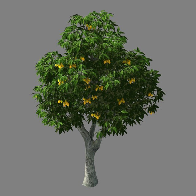 lilac garden-mango tree 03 Modèle 3D .c4d .max .obj .3ds .fbx .stl .blend 