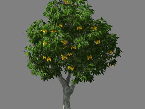 giardino lilla-albero di mango 03 Modello 3D