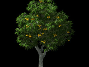 lilac garden-mango tree 03 3D Model