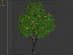 lilac garden-mango tree 03 3D Model