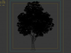 lilac garden-mango tree 03 Modèle 3D