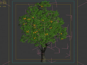 lilac garden-mango tree 04 Model 3D