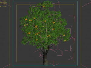 lilac garden-mango tree 04 3D Model