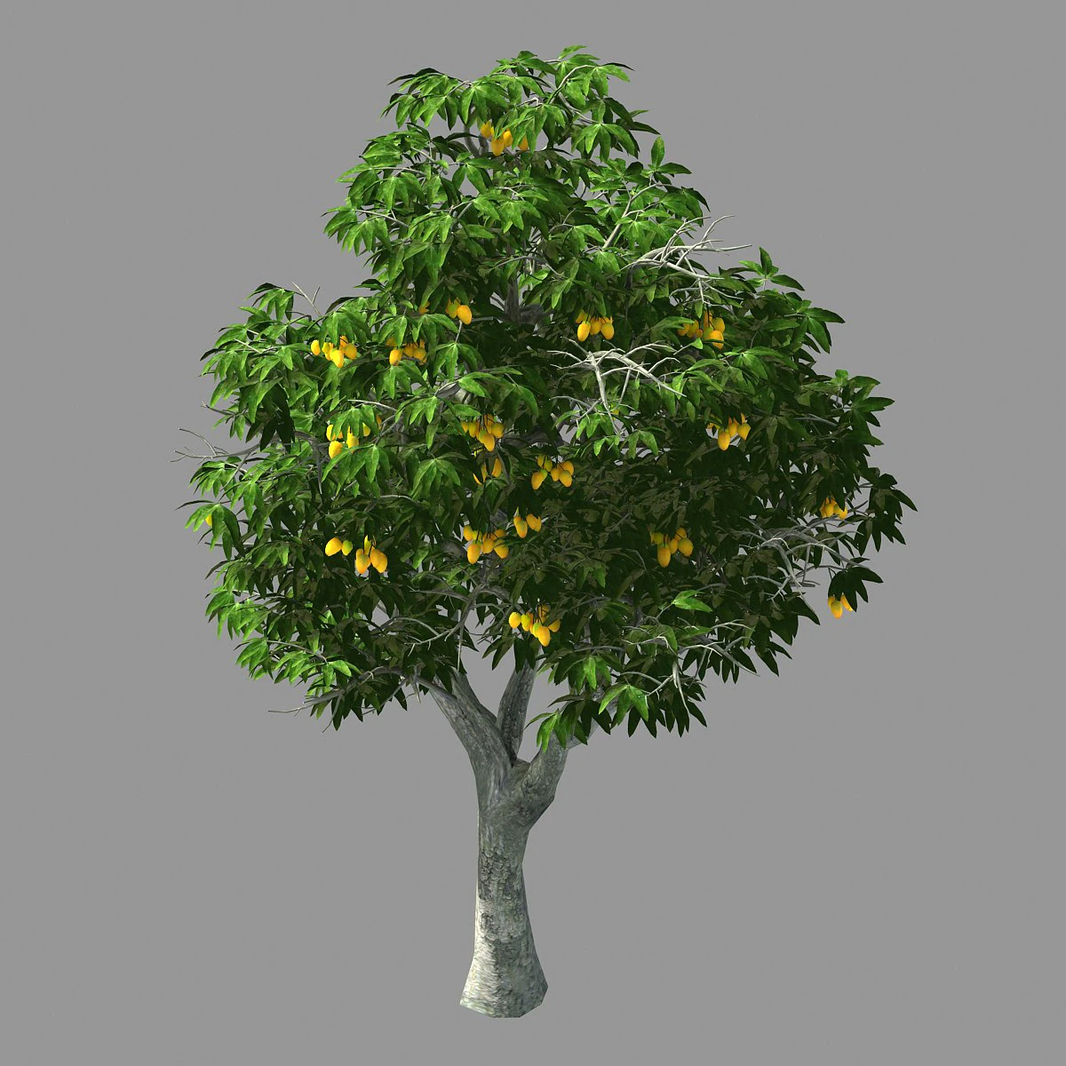 lilac garden-mango tree 05 3D Model .c4d .max .obj .3ds .fbx .stl .blend 