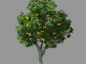 lila jardín-árbol de mango 05 Modelo 3D