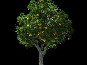 lilac garden-mango tree 05 3D Model