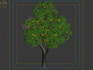 lilac garden-mango tree 05 3D Model