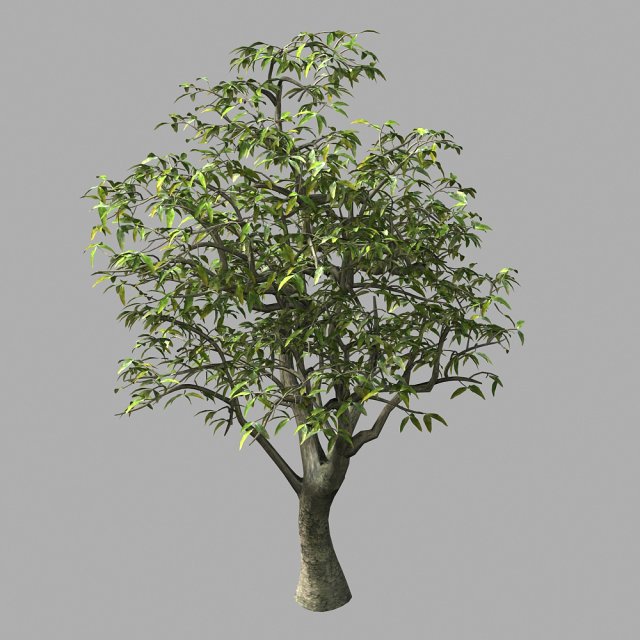 lilac garden-mango tree 06 3Dモデル .c4d .max .obj .3ds .fbx .stl .blend 