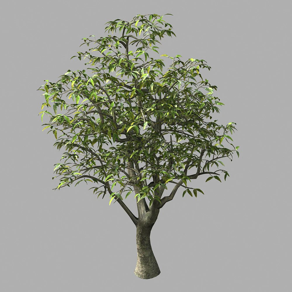 lilac garden-mango tree 06 3D Model .c4d .max .obj .3ds .fbx .stl .blend 