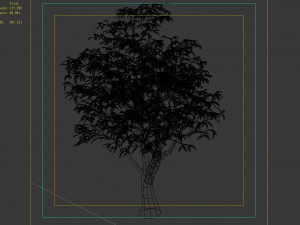 lilac garden-mango tree 06 3Dモデル