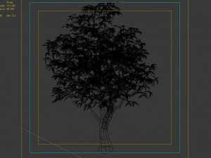 lilac garden-mango tree 06 3D Model