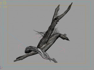 segment wood-withered-trunk 37 3D Model