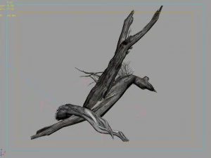 segment wood-withered-trunk 37 3D Model