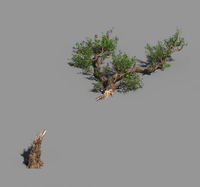 broken wood-branch 02 3D Model .c4d .max .obj .3ds .fbx .stl .blend 
