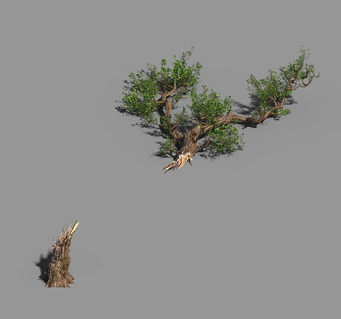 broken wood-branch 02 3D Model .c4d .max .obj .3ds .fbx .stl .blend