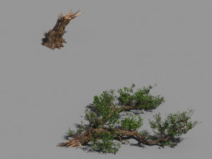 broken wood-branch 02 3D Model