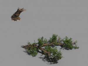 broken wood-branch 02 3D Model