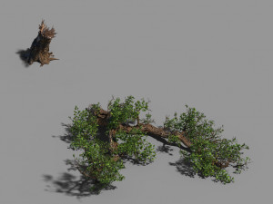 broken wood-branch 02 3D Model