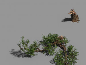 broken wood-branch 02 3D Model