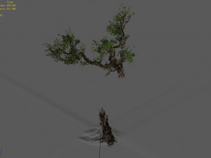 broken wood-branch 02 3D Model