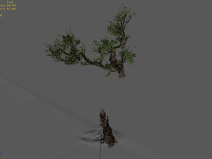 broken wood-branch 02 3D Model