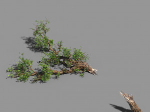 broken wood-branch 02 3D Model