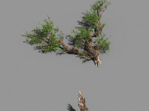broken wood-branch 02 3D Model