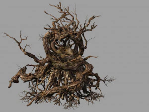 Phoenix nest-vogelnest-boomwortel 3D Model
