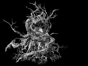 phoenix nest-bird nest-tree root 3D Model