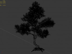 osmanthus tree-shrub-vine-grass-fern-alga 1 3D Model