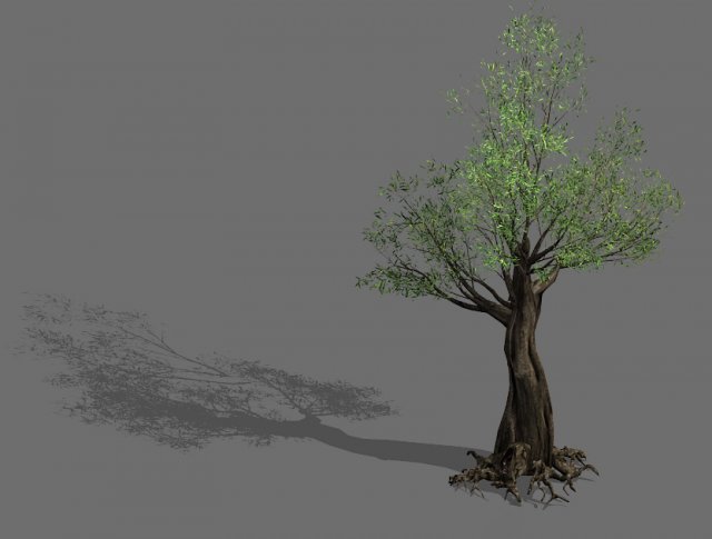 salix-desert plant 12 3D 模型 .c4d .max .obj .3ds .fbx .stl .blend 