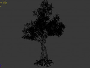 salix-desert plant 12 3D 模型