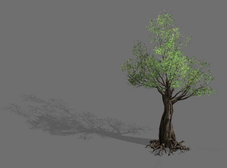 salix-desert plant 13 3D Model .c4d .max .obj .3ds .fbx .stl .blend