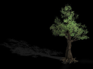 salix-desert plant 13 3D Model