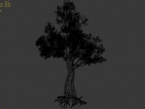 salix-desert plant 13 3D Model