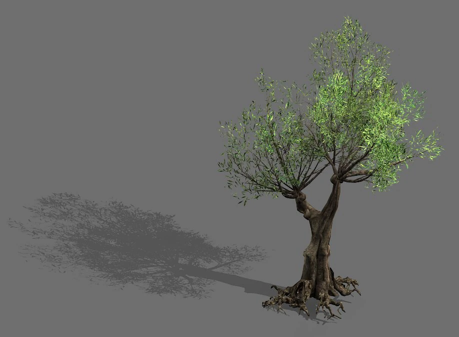 salix-desert plant 14 3D Model .c4d .max .obj .3ds .fbx .stl .blend 