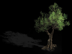 salix-desert plant 14 Modello 3D