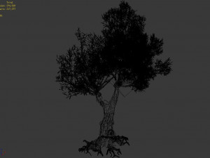 salix-desert plant 14 Modello 3D
