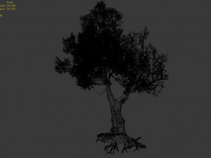 salix-desert plant 15 Modelo 3D