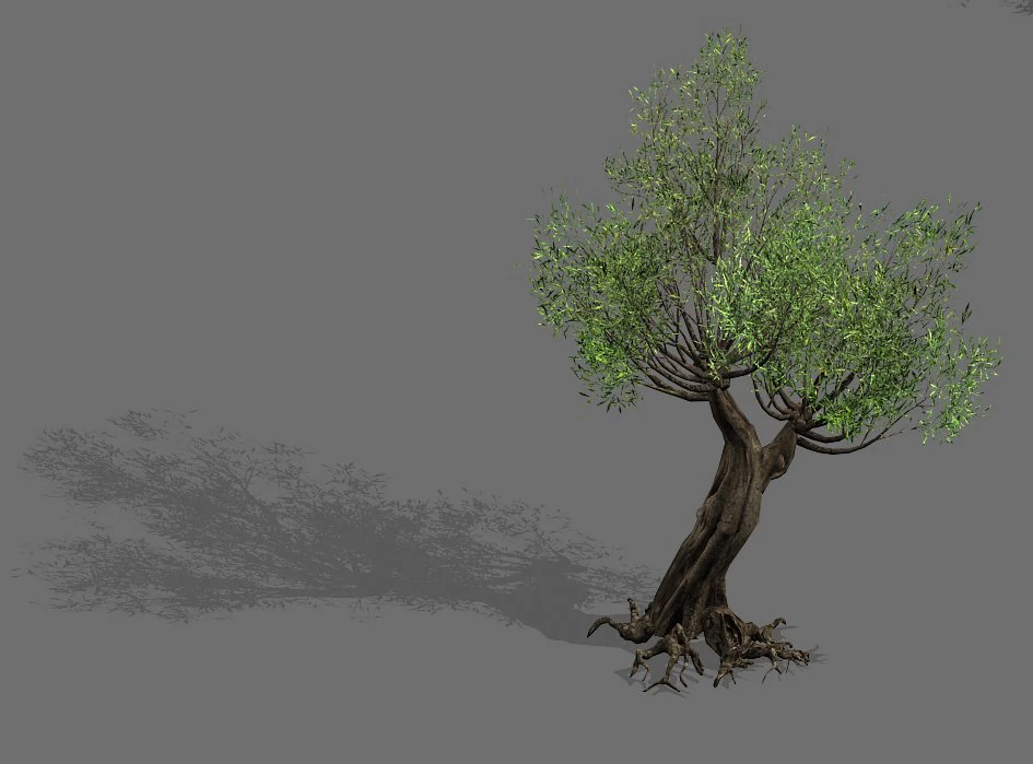 salix-desert plant 17 3D Model .c4d .max .obj .3ds .fbx .stl .blend