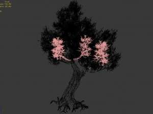 salix-desert plant 17 3D Model