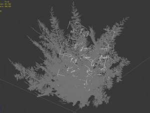 tamarisk-plant-fern 12 3D Model
