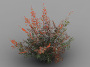 tamarisk-plant-fern 16 3Dモデル