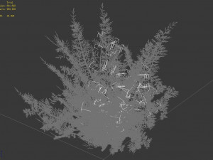 tamarisk-plant-fern 16 3D Model