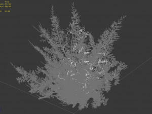 tamarisk-plant-fern 16 3D Model